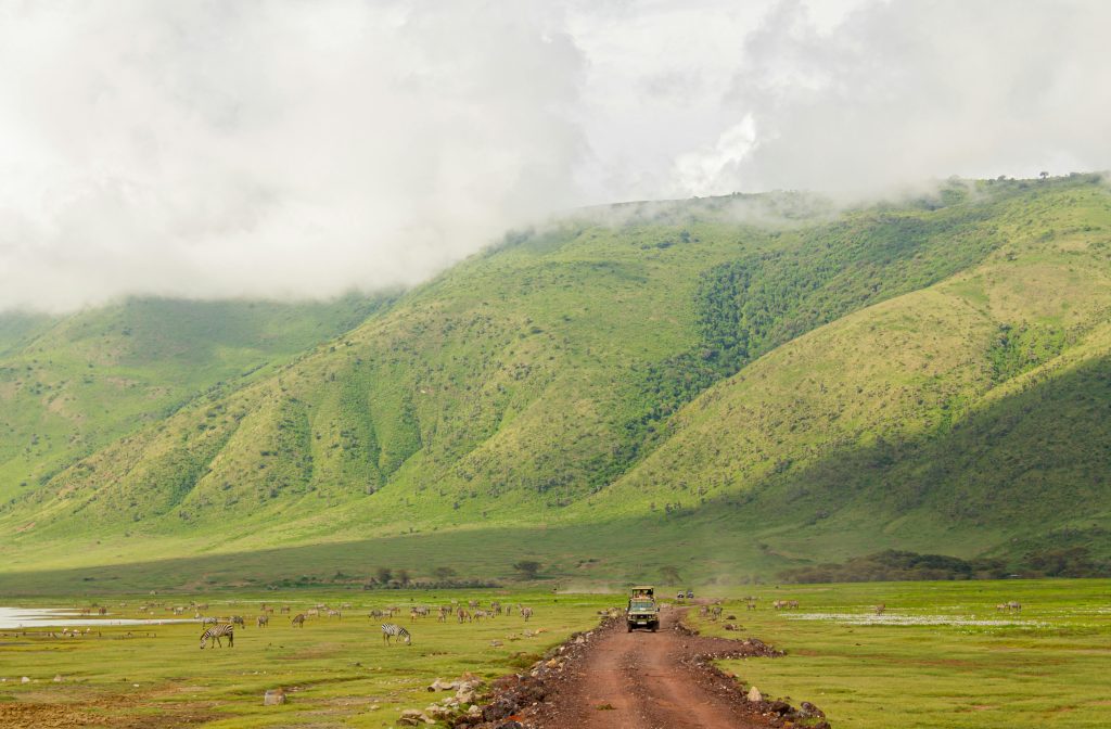 kilimanjaro