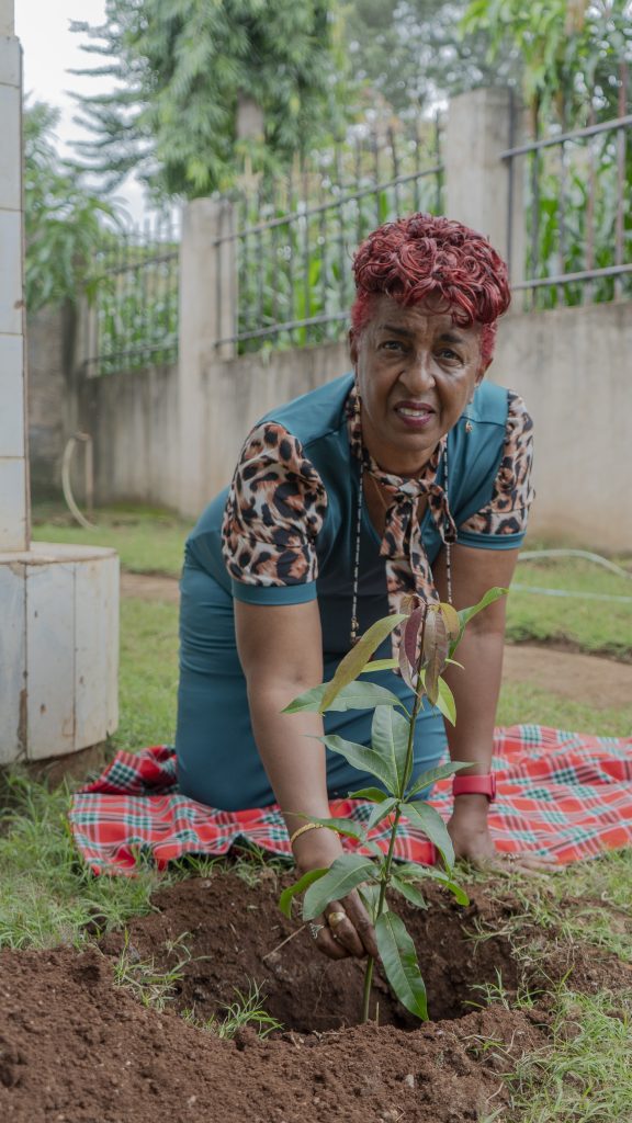 tree planting